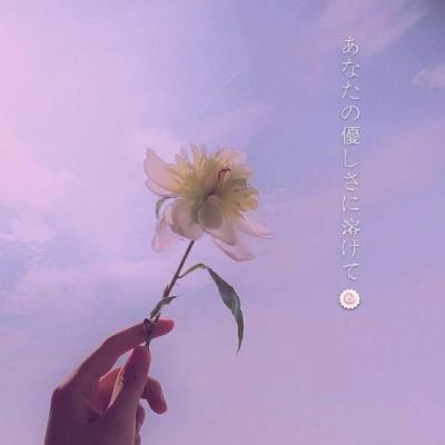 诛仙之梦幻手游下载